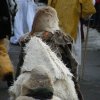 dscf0208