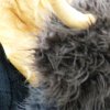 dscf0421